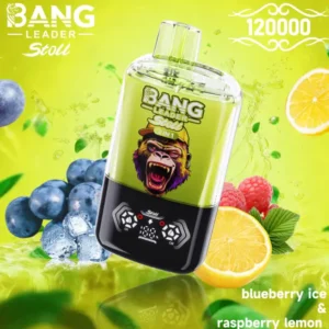 Alternative view of BANG Leader Stoll 120K Puffs