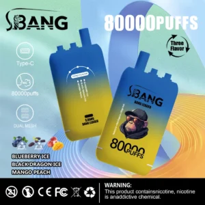 Bang Leader 80000 Puffs, dualni mrežasti navitje (Dual Mesh), 80000 pufov, Type-C polnilec, visoka hitrost polnjenja, digitalni prikaz