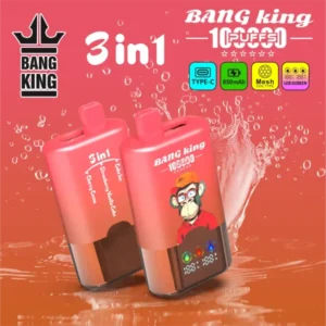 Bang King 100K Puffs 3IN1